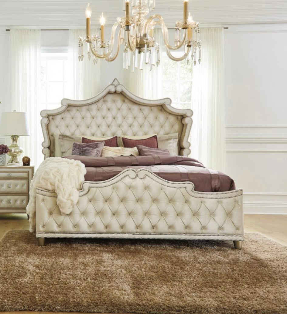 Antonella Upholstered King Bed 223521KE