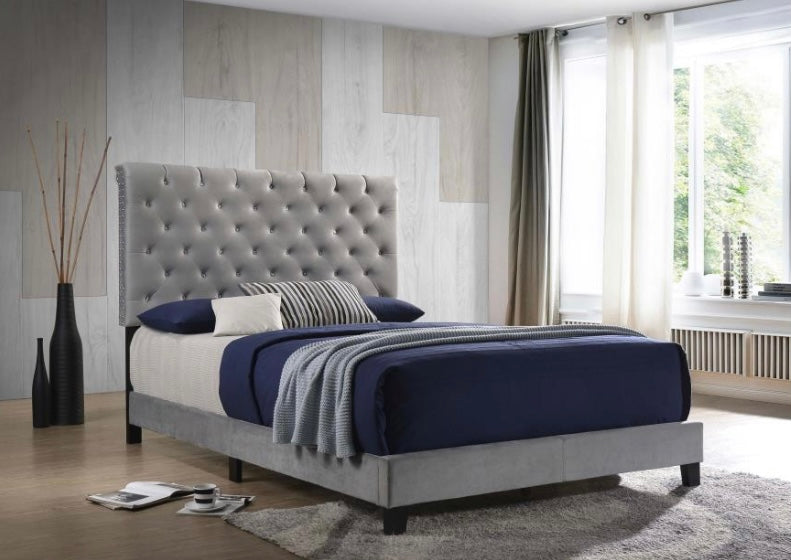 Warner Upholstered Queen Bed 310042Q