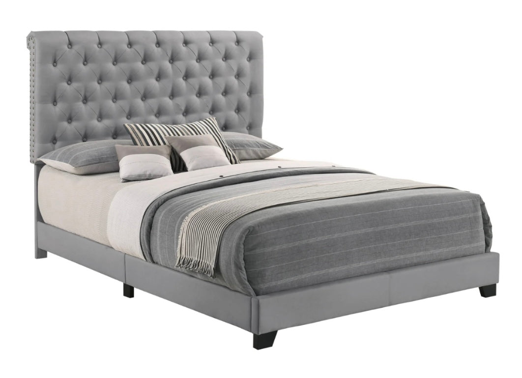 King Bed SH278KGRY-1